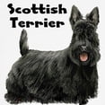 thumbnail image 3 of CafePress - Scottish Terrier Sweatshirt - Crew Neck Sweatshirt, 3 of 4