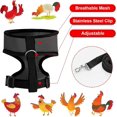 thumbnail image 2 of BRILLAR Arnés de pollo ajustable con correa, chaleco para gallina cómodo y transpirable para ganso pato de 1-5kg (negro), 2 of 3