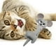 thumbnail image 2 of Juguetes de hierba gatera Gloria para gatos gris, 2 of 9