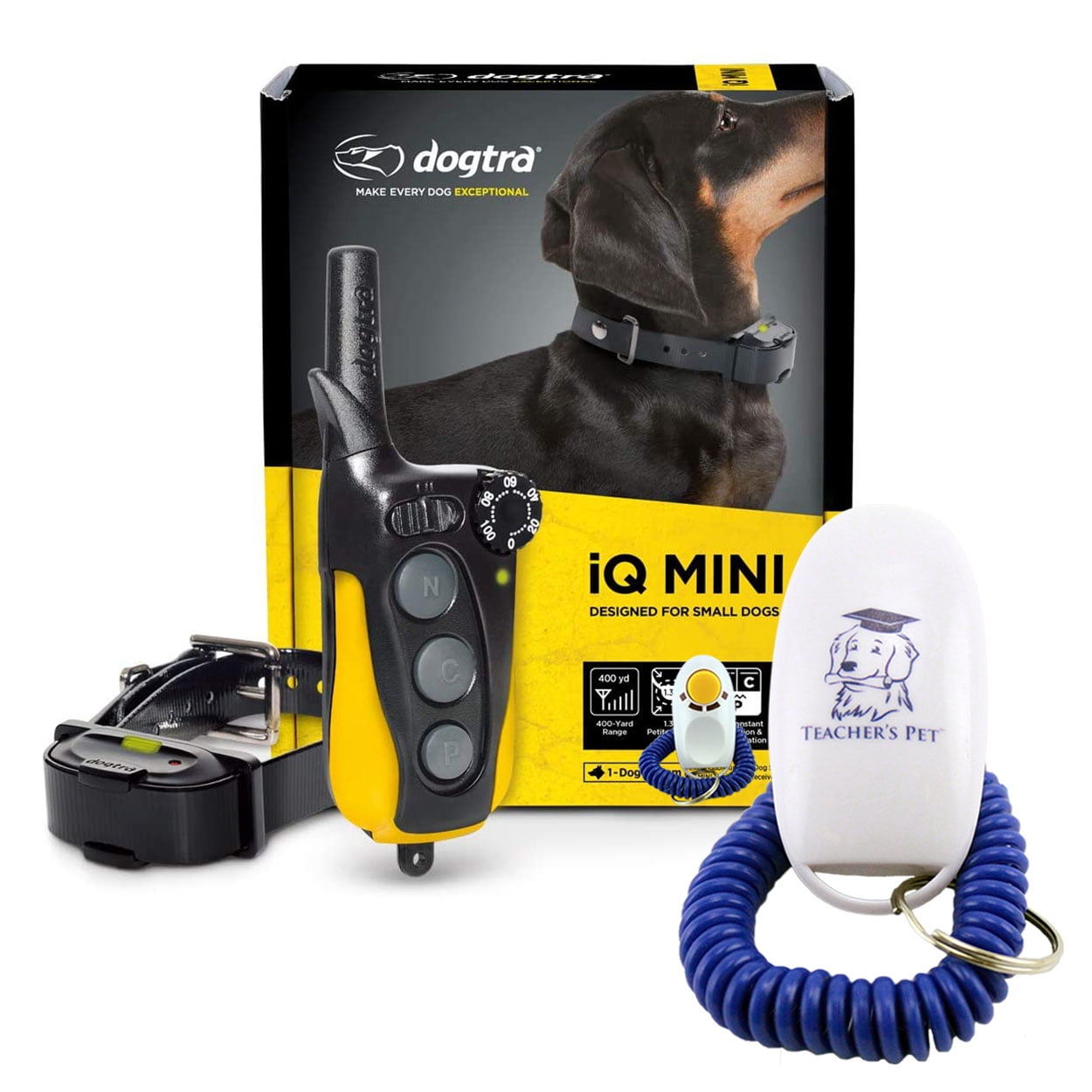 e collar positive reinforcement