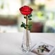 thumbnail image 1 of Flor de rosa roja de cristal con hojas verdes, jarrón de cristal para aniversario de boda/esposa, regalos románticos para siempre para el día de San Valentín/cumpleaños/boda Sincero Electrónica, 1 of 4