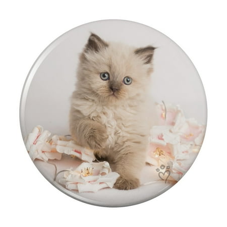 

Miradoll Ragdoll Cat Kitten Flowers Kitchen Refrigerator Locker Button Magnet
