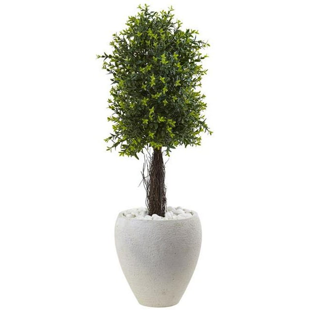 Ixora Topiary with White Planter UV Resistant