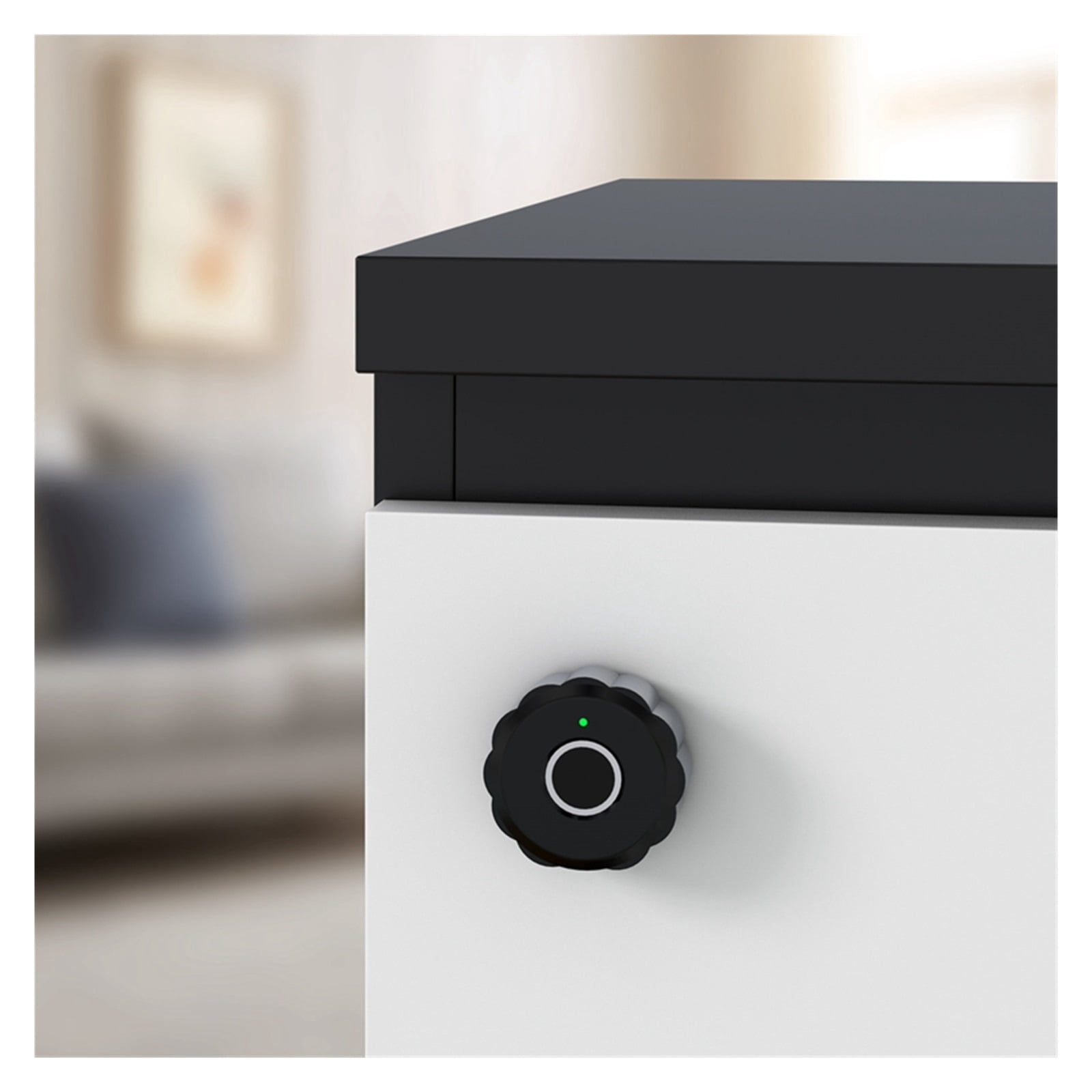 Fingerprint Lock Cabinet APP Smart Lock Fingerprint Recognize 20 Group Fingerprint Storage Drawer File Cabinet Door Lock ,Flexible Password Options