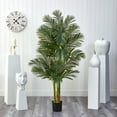 thumbnail image 4 of Nearly Natural 6' Golden Cane Palm Artificial Tree, Green, 4 of 5