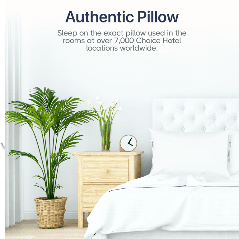 Choice hotel outlet pillows