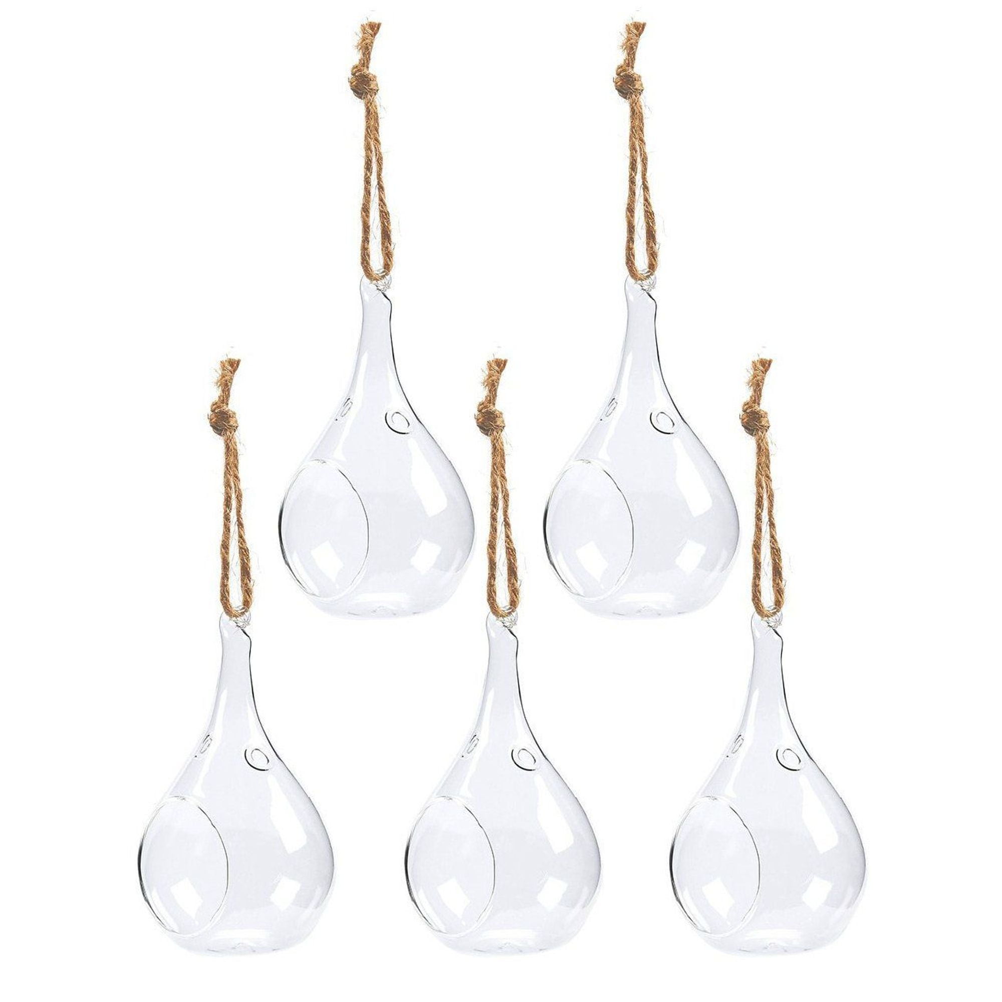 5Pack Hanging Glass Terrarium Glass Teardrop Terrarium Holder