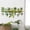 B 40X80cm, variant on Totoro Hero Green Vine Dill Leaves Flower Hanging Basket Wall Stickers Bedroom Dining Living Room Kitchen Green Plant Home Decor Wall Decals