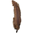 thumbnail image 4 of Safari African Lion Queen Lioness With Cub Family Statue 11"L Animal Collectible, 4 of 6