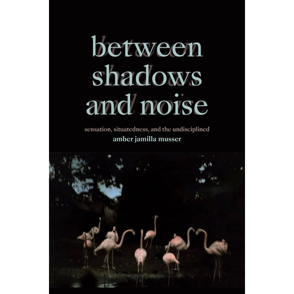Between Shadows and Noise: Sensation, Situatedness, and the Undisciplined, (Hardcover)