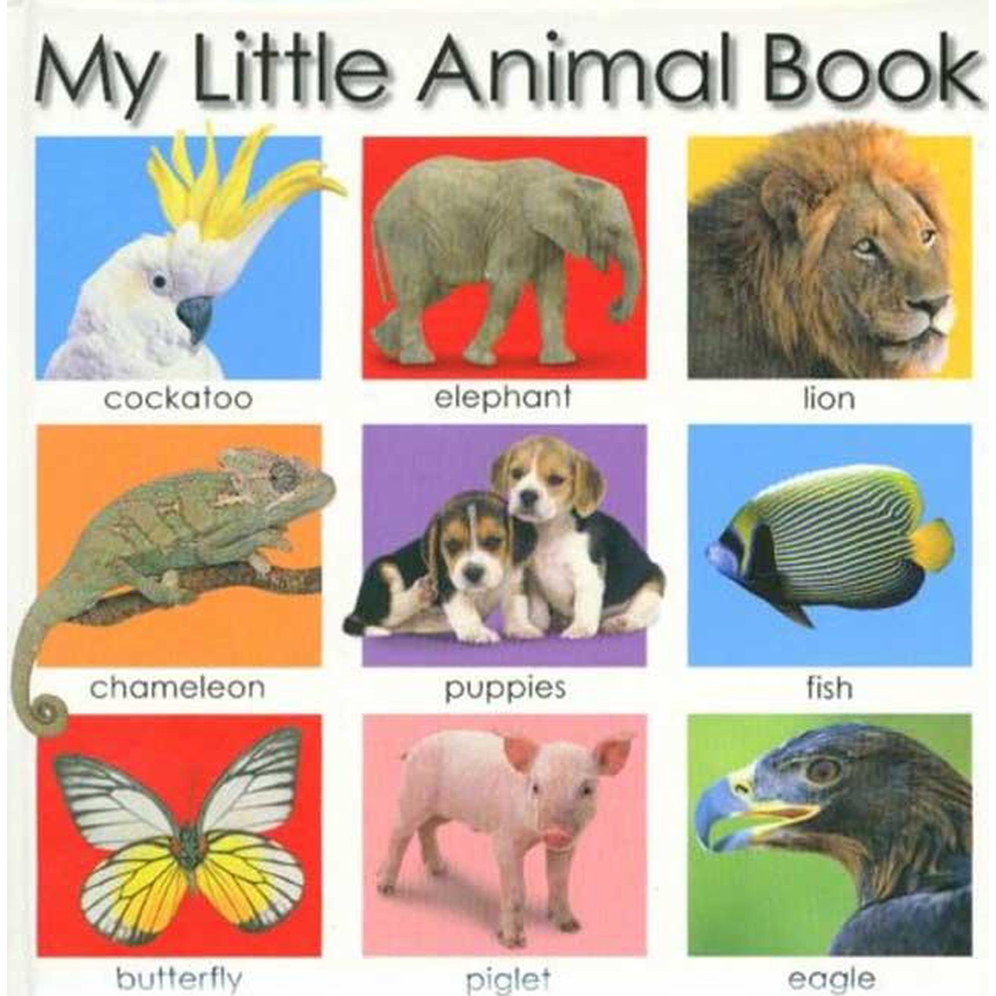 My Little Animal Book