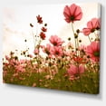 thumbnail image 2 of Beautiful Cosmos Flowers Garden - Floral Canvas Art Print, 2 of 3