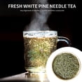 thumbnail image 1 of Aguja de pino para té Té de bienestar de aguja de pino a base de hierbas naturales Sin productos químicos Tmvgtek Para estrenar, 1 of 9