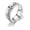 Silver, variant on Rotary Titanium Steel Chain Ring Euramerican