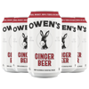 Owen’s Craft Mixers Ginger Beer HandA with Premium Ingredients Vegan & Gluten-Free Soda Mocktail and Cocktail Mixer