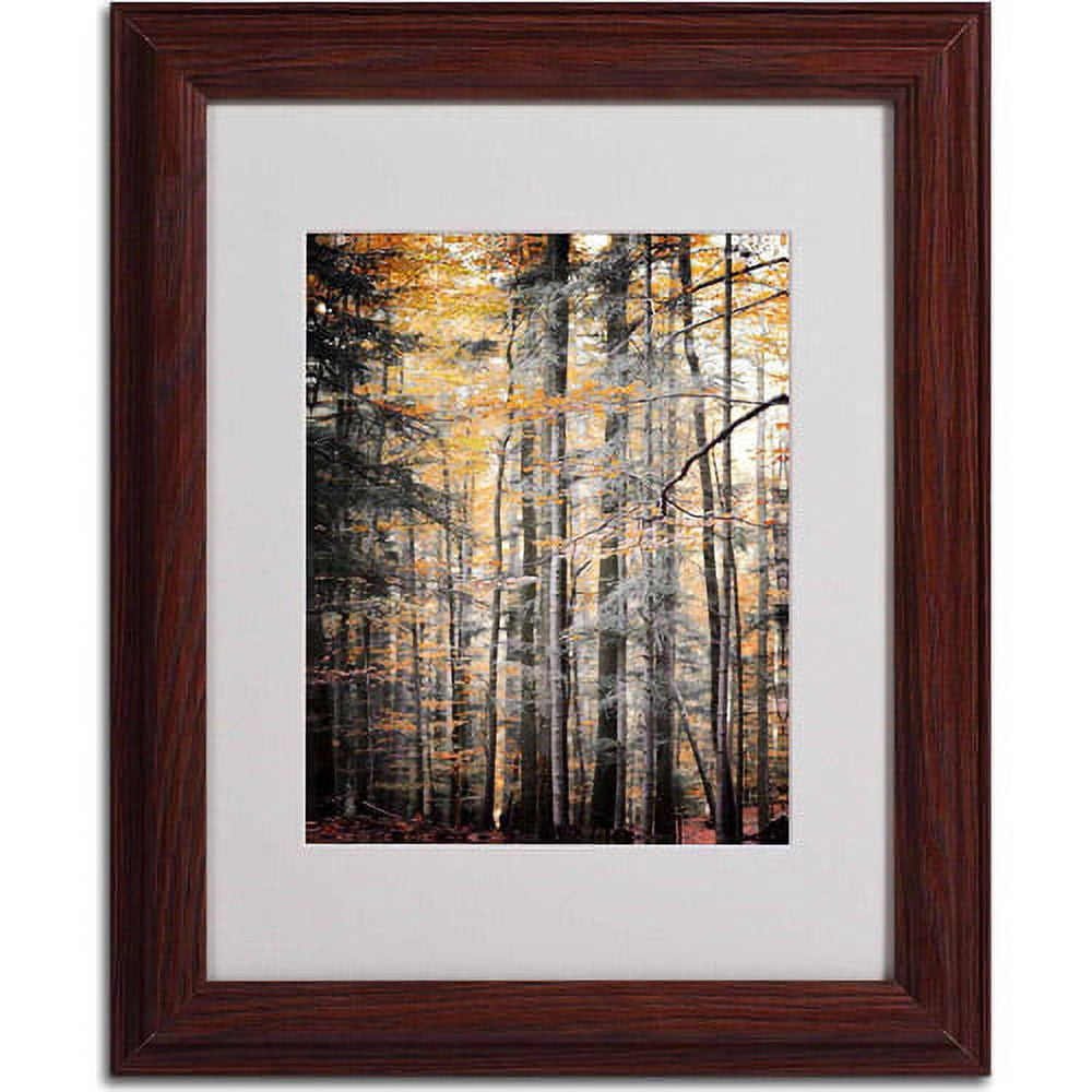 Trademark Fine Art "Autumn Tones" Canvas Art by Philippe Sainte-Laudy, Wood Frame