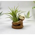 thumbnail image 5 of 3 (Package) Sloth Planter Ceramic Planter Cache Pot Sleepy Sloth Sloth Planters Pots Indoor for Succulent Air Plants Cactus Ceramic Cute Flower Pot, 5 of 5