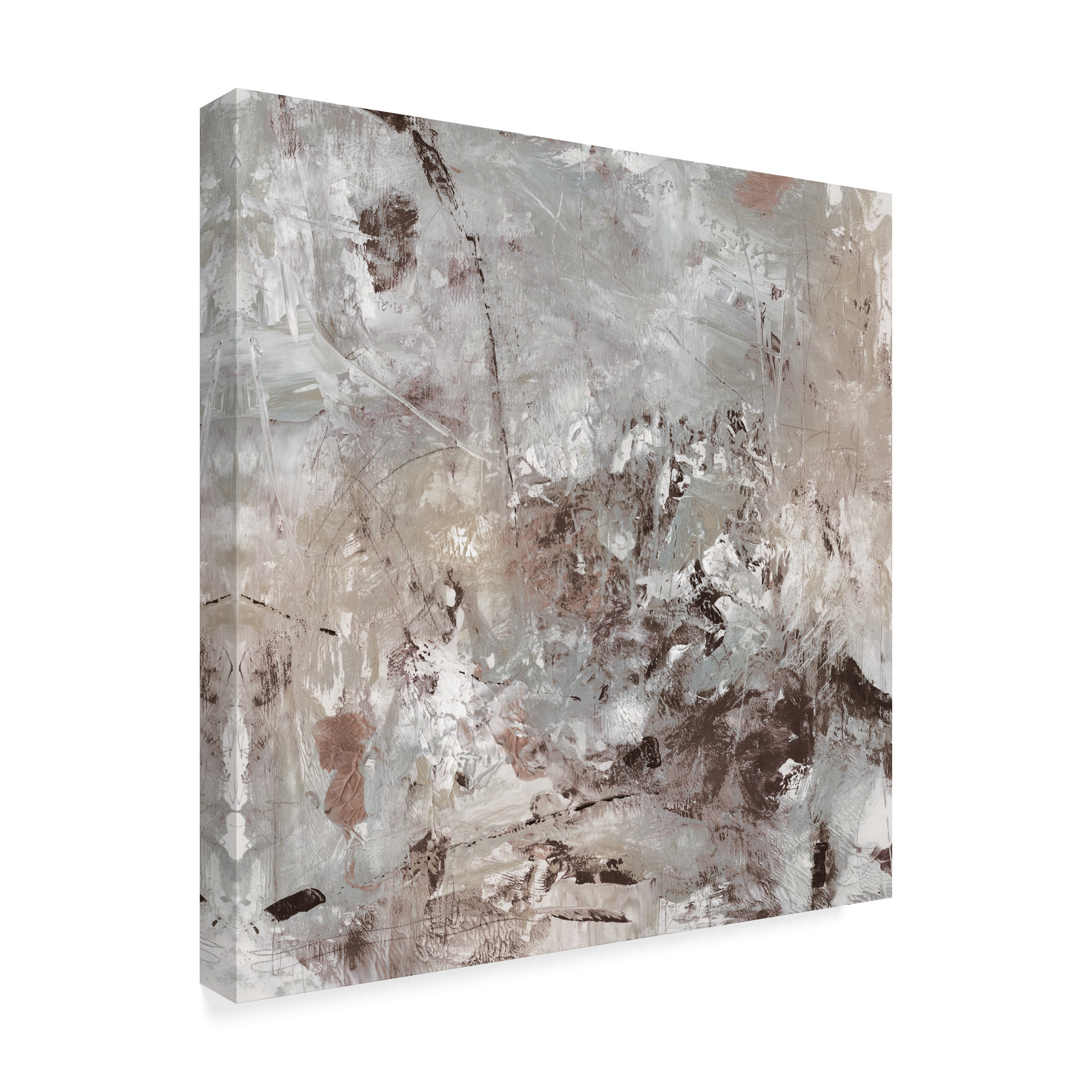 Trademark Fine Art 'Neutral Display I' Canvas Art by Tim OToole
