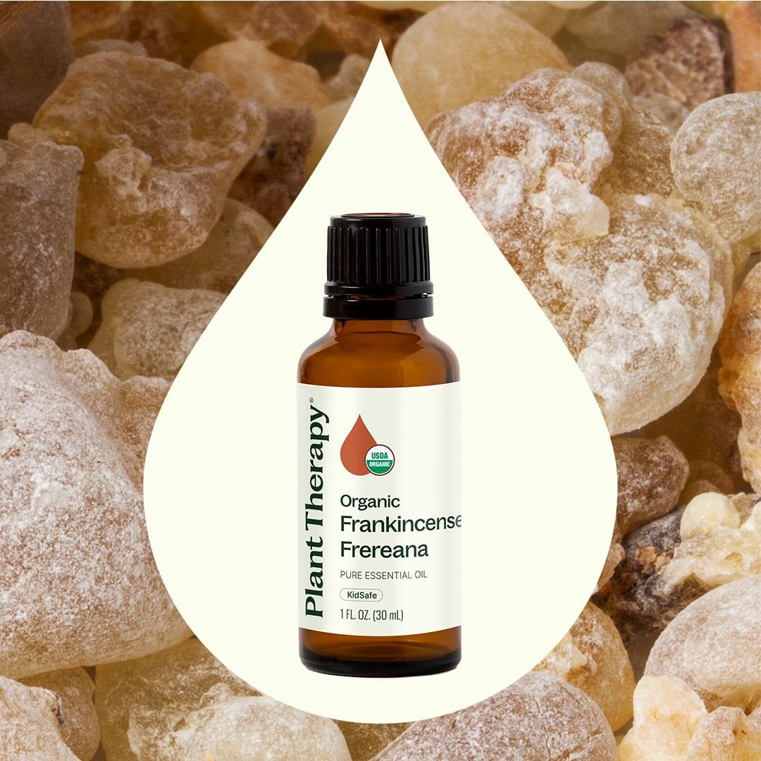 Plant Therapy Organic Frankincense Frereana Essential Oil 100% Pure, USDA Certified Organic, Undiluted, Natural Aromatherapy 30 mL (1 oz)