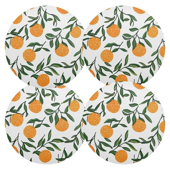 Ryvnso Orange Fruits Round Plate Mats Dining Table Placemat Set of 4 for Holiday Decoration