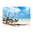 thumbnail image 1 of Ambesonne Driftwood Jigsaw Puzzle, Seascape Sandy Beach, Heirloom-Quality Fun Activity for Family Durable Cardboard, 1000 pcs, Turquoise Sky Blue, 1 of 5
