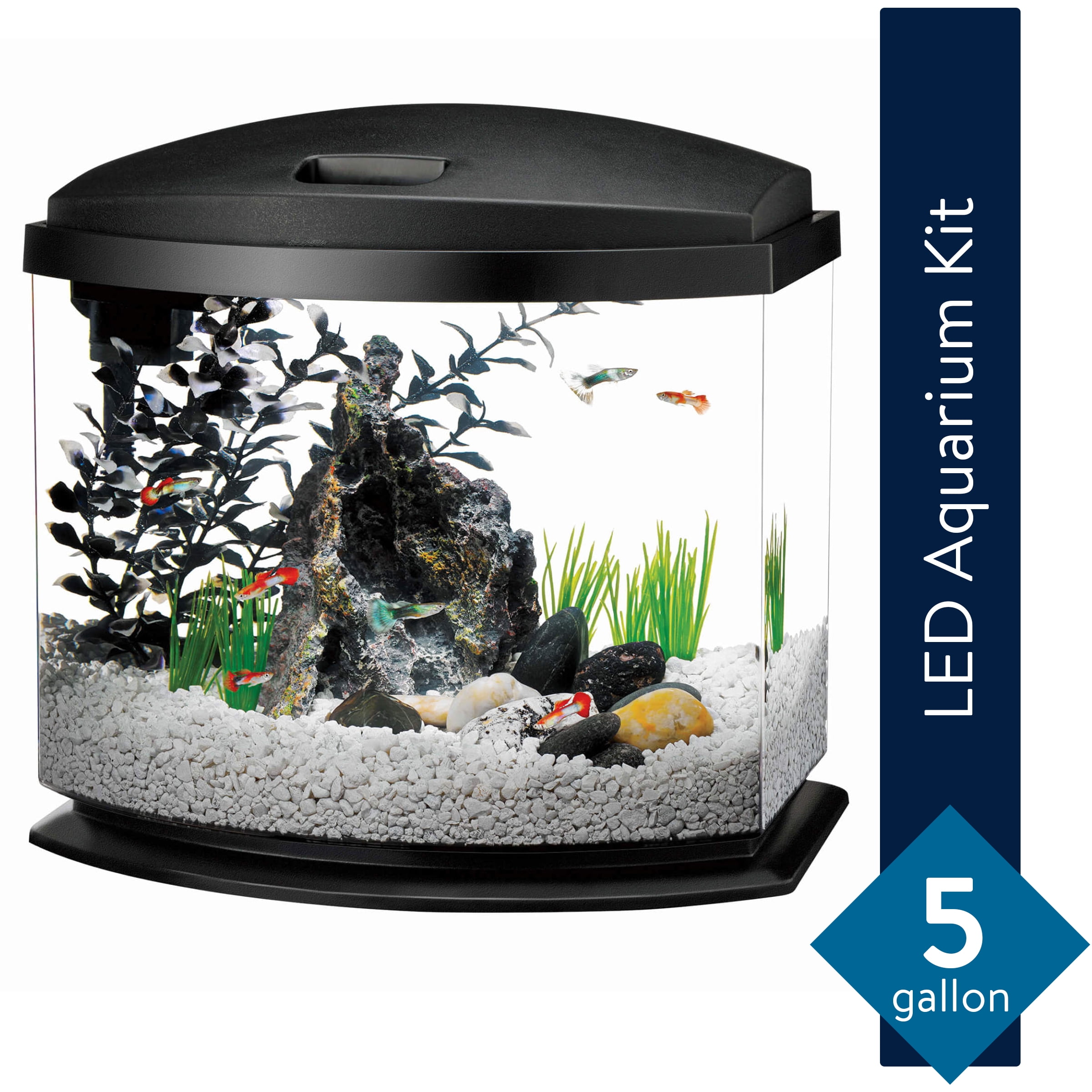 Aqueon Minibow Aquarium Led Starter Kit 5 Gallon Black Walmart Com