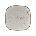 thumbnail image 2 of Tuxton  11 in. Geode Agave Square Plate, White, 2 of 3