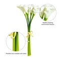 thumbnail image 6 of Vickerman 14'' Artificial White Calla Lily. Eight stems per pack., 6 of 8