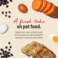 thumbnail image 4 of The Honest Kitchen Zeal: Natural Human Grade Dehydrated Dog Food, Grain Free White Fish, 4 lbs (Makes 16 lbs), 4 of 8