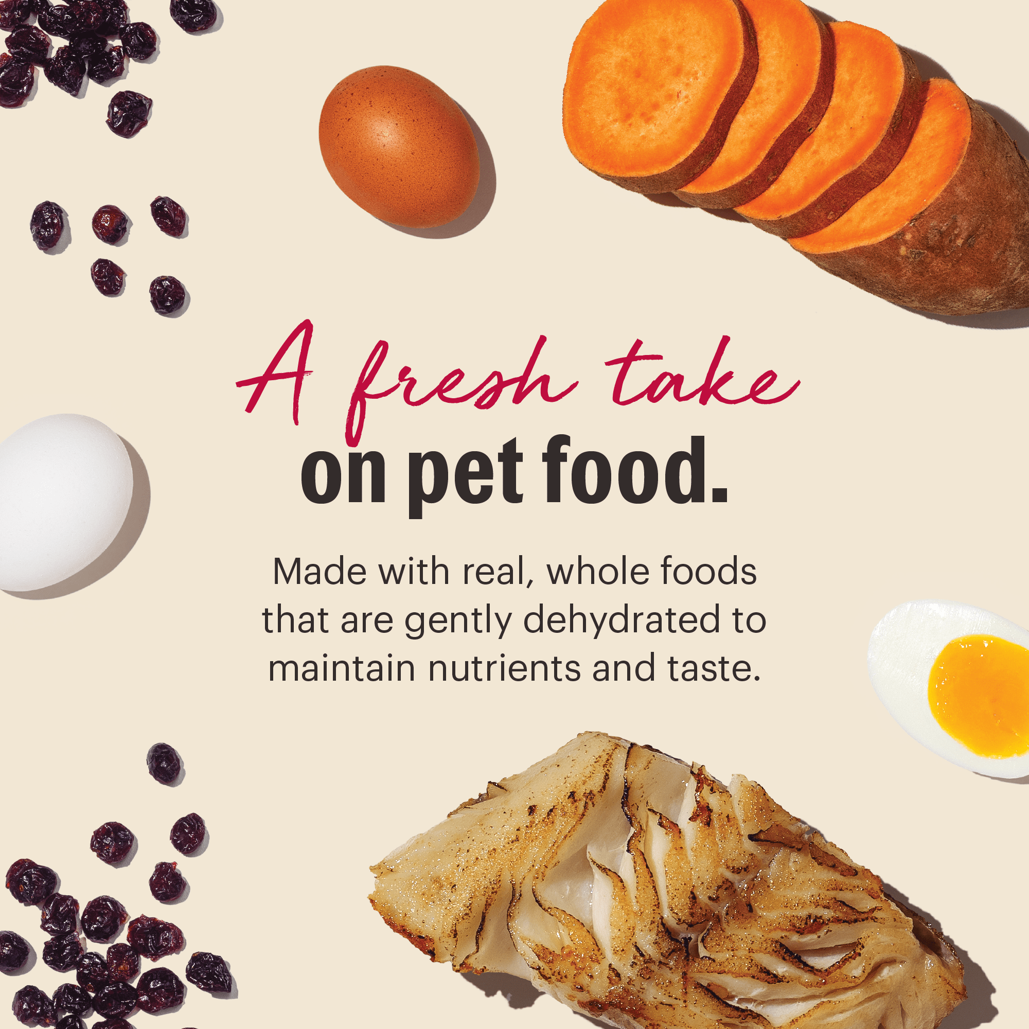 The Honest Kitchen Wholemade Grain Free Fish Recipe, Human Grade Dehydrated Dog Food, Just Add Water, Supports Healthy Digestion, Skin & Coat, Topper for Dry or Wet Dog Food, 4 lb Box Makes 16 lbs