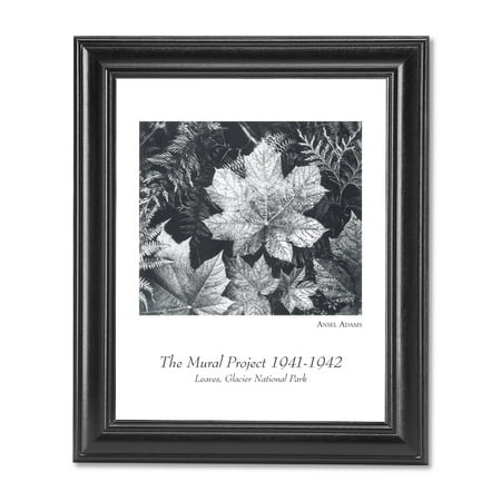 Ansel Adams Glacier National Park - Ansel Adams B/W Photo Leaves Glacier National Park Wall Picture Black Framed