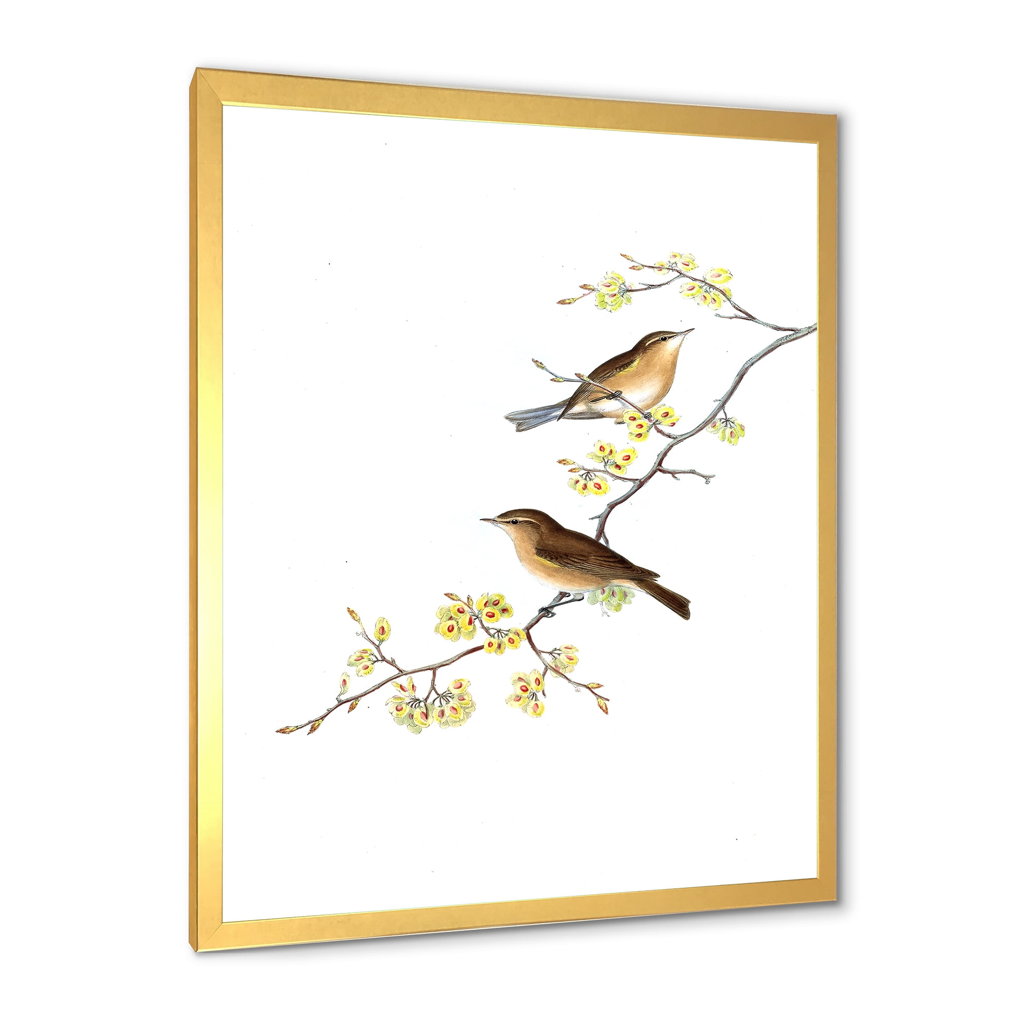 Designart 'Little Birds Sitting On The Tree Branches II' Traditional Framed Art Print