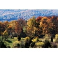 thumbnail image 2 of Hausenflock, Alan 32x23 Black Ornate Wood Framed with Double Matting Museum Art Print Titled - Autumn Foothills I, 2 of 4