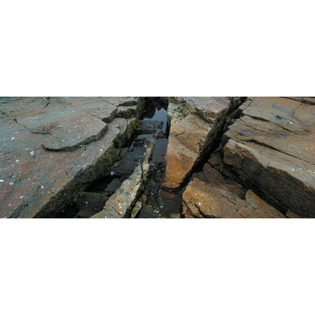 High angle view of rocks at coast Acadia National Park Maine USA Poster Print by Panoramic