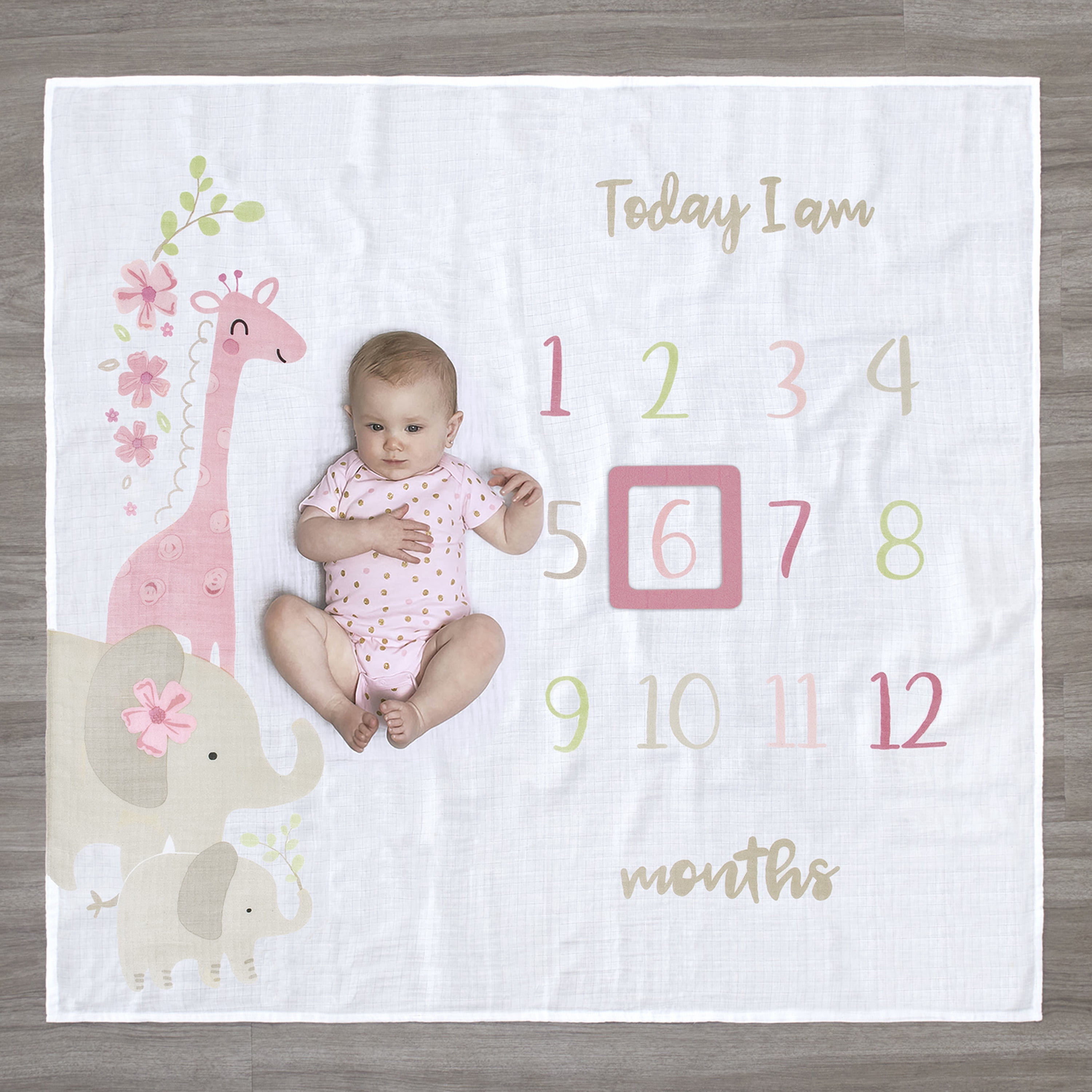 Gerber Baby Girl Milestone Blanket & Frame Set, 2-Piece, White Safari