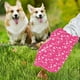 thumbnail image 5 of Bolsas de basura para heces de mascotas, 75 unidades, para exteriores, para el baño, para pasear perros, de plástico, 5 of 6