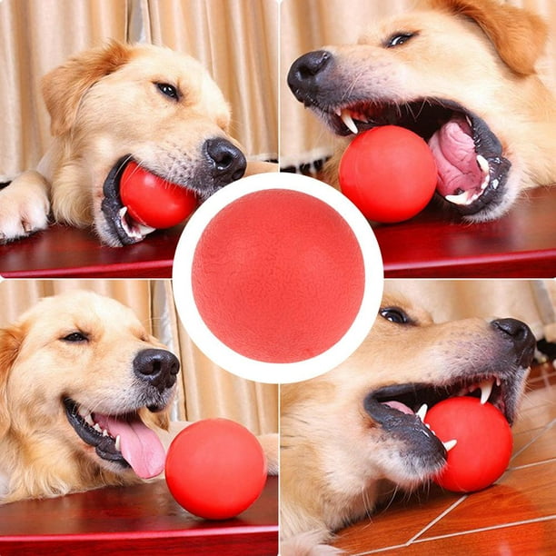 Qiilu Balle en caoutchouc solide interactif jouet formation de chien de  compagnie à mâcher jouer morsure chercher des jouets, jouet de balle pour  animaux de compagnie, balle de dressage pour 
