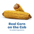 thumbnail image 4 of Kaytee Corn On The Cob, 6.5 lb, 4 of 4