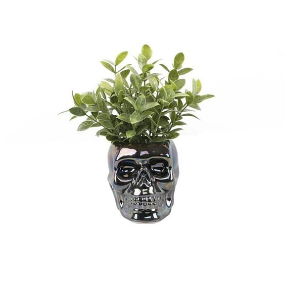 Flora Bunda HW5428E-METIR Succ in Metalic Iridescent Skull Ceramic 3.75X4.5X4