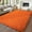Orange, variant on 5'x7' Super Fluffy Rug for Bedroom, Modern Shag Black Area Rugs, Soft and Cozy Plush Large Carpet for Kids, Girls Boys and Teens Decorations for Living Room Dorm Nursery Classroom, Black