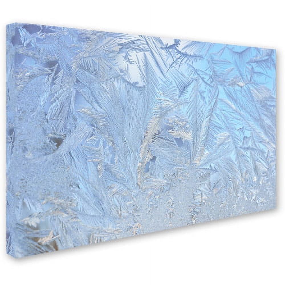 Trademark Fine Art "Frost Pattern 3" Canvas Art by Kurt Shaffer