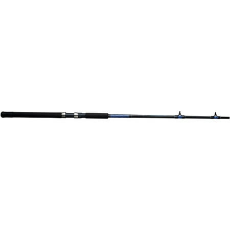 Shakespeare Tidewater Surf Spinning Fishing Rod (Best Surf Rod For Stripers)