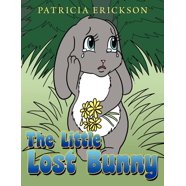 The Forgotten Rabbit (Hardcover) - Walmart.com