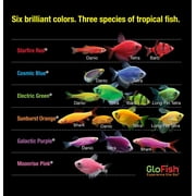 GloFish 20 Gallon Aquarium Kit with LED Lights, Decor Heater and Filter