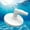 White, variant on Clearance Plumbing Fittings under $5,Vacuum Plate Swimming Pool Adapter 90 ° Elbow Pool Plate Universal High Strength Pool Vacuum Plate High Efficiency With 90 Elbow For Swimming Pool