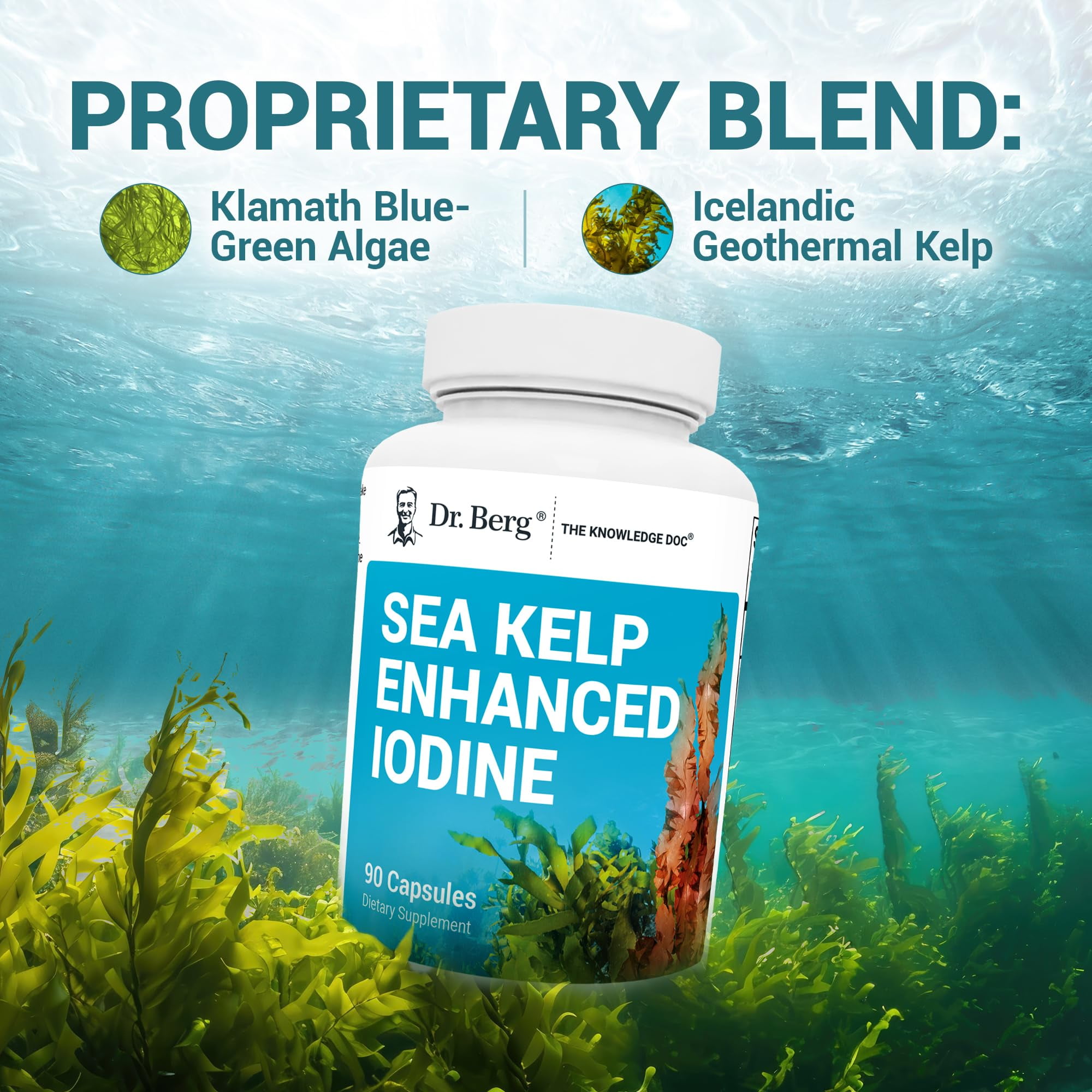 Dr. Berg Sea Kelp Enhanced Iodine Supplement , 90 Capsules