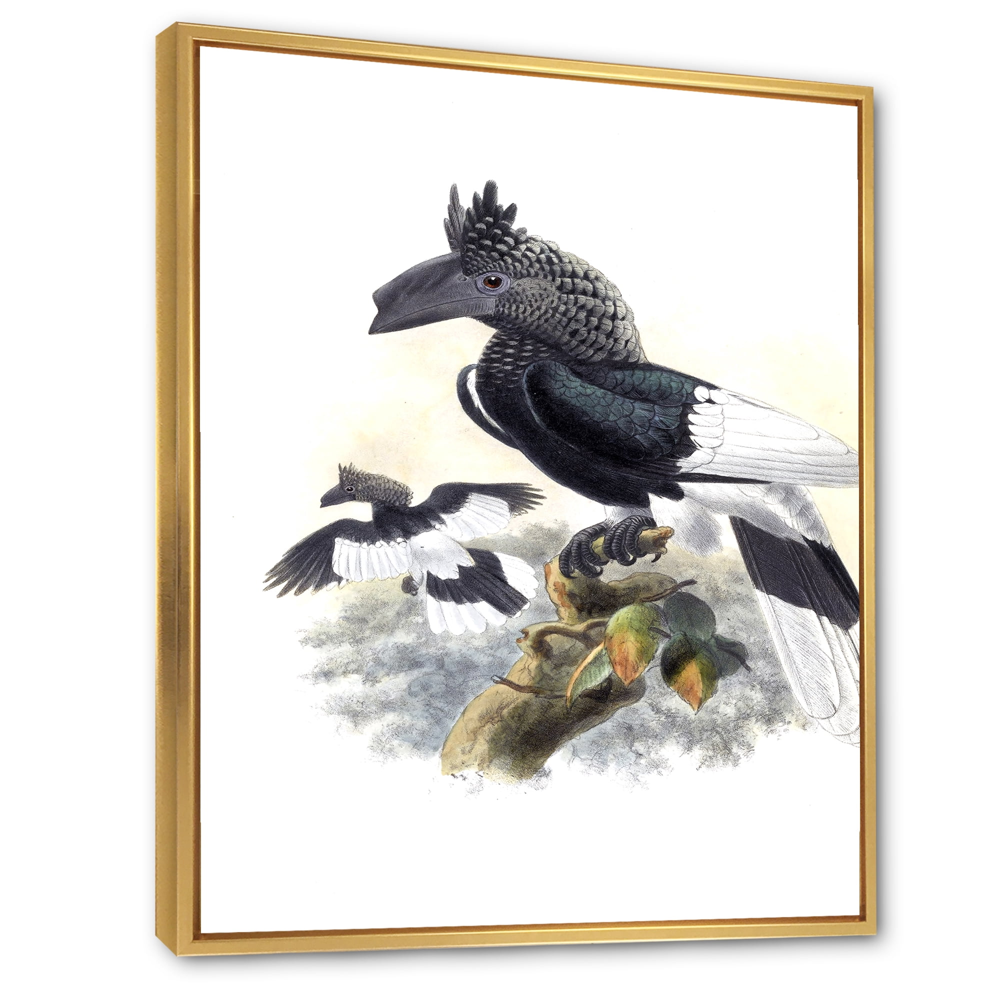 Ancient Australian Birds XVI 24 in x 32 in Framed Painting Canvas Art Print, by Designart