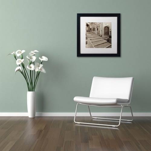 Trademark Fine Art "Lombardy I" Canvas Art by Alan Blaustein, White Matte, Black Frame