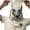 White, variant on SUNSIOM Halloween Gorilla Headwear Funny Full Head Monkey Headgear Animal Costume Cosplay Prop for Adults