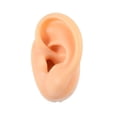 thumbnail image 1 of Modèle d'Oreille en Silicone (à Gauche) avec Support en Acrylique, 1 of 1